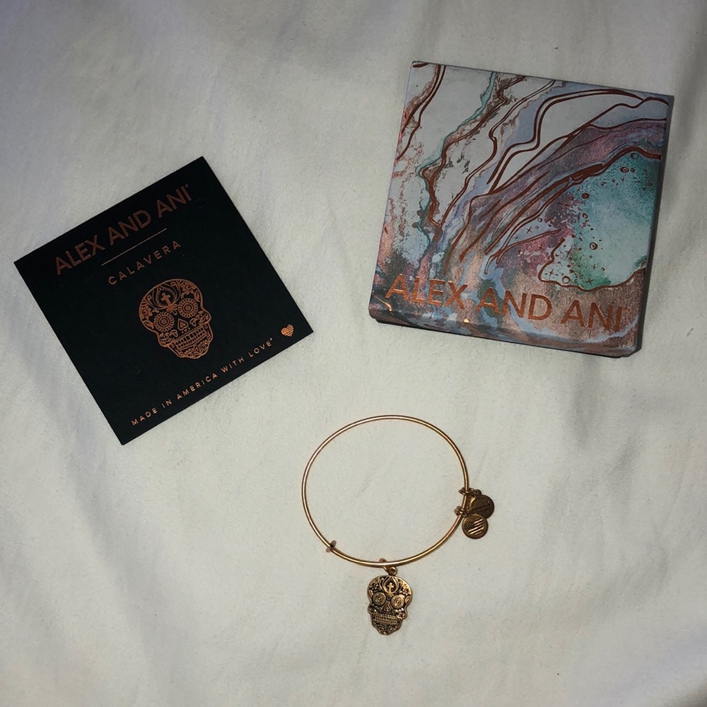 Never Worn Before Alex and Ani Bracelet!!